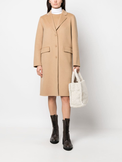 P.a.r.o.s.h Wool Coat In Brown