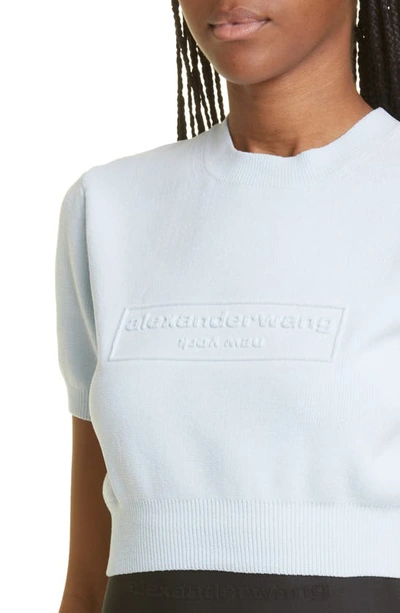 Shop Alexander Wang Embossed Logo Short Sleeve Crop Sweater In Ariel Blue