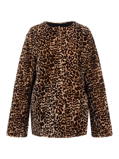 Shop Gorski Women's Collarless Shearling Lamb Jacket In Leopard