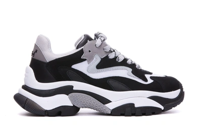 Ash Addict Low-top Sneakers In Black