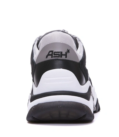 Shop Ash Sneakers In Black