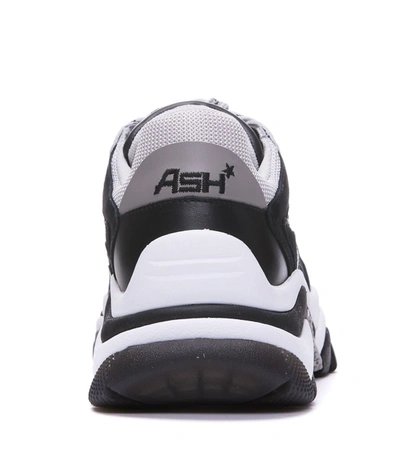 Ash Addict Low-top Sneakers In Black