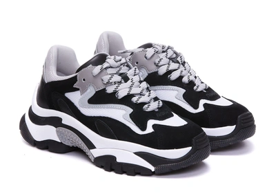 Ash Addict Low-top Sneakers In Black