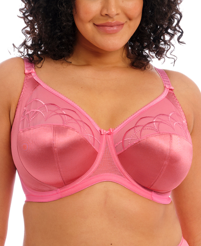 Shop Elomi Cate Full Figure Underwire Lace Cup Bra El4030, Online Only In Desert Rose