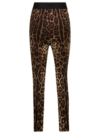 Shop Dolce & Gabbana Brown Leopard Printed Leggings In Stretch Silk Woman In Beige