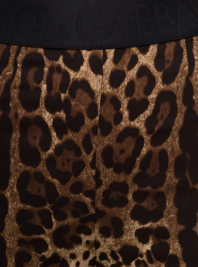 Shop Dolce & Gabbana Brown Leopard Printed Leggings In Stretch Silk Woman In Beige