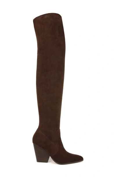 Shop Veronica Beard Lalita Pointed Toe Over The Knee Boot In Cacao