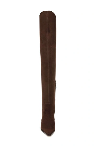Veronica Beard Lalita Pointed Toe Over The Knee Boot In Cacao