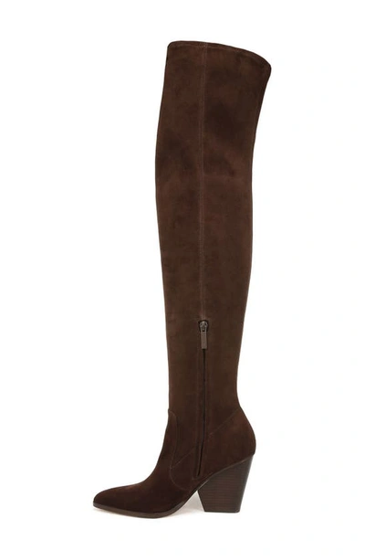 Shop Veronica Beard Lalita Pointed Toe Over The Knee Boot In Cacao