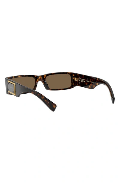 Shop Dolce & Gabbana 55mm Polarized Rectangular Sunglasses In Havana