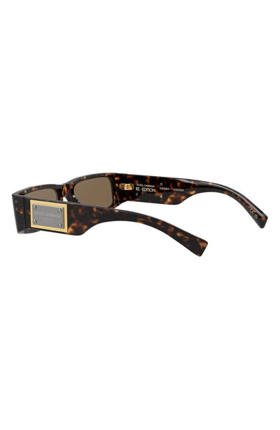 Shop Dolce & Gabbana 55mm Polarized Rectangular Sunglasses In Havana