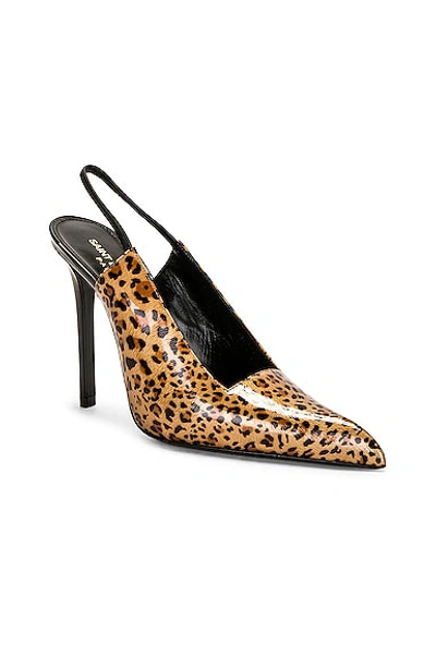 Saint Laurent Animal Patterned Patent Leather Slingbacks With Stiletto Hee In Manto Naturale