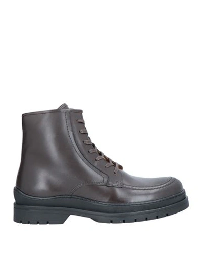 Cerruti 1881 Man Ankle Boots Dark Brown Size 8 Cow Leather In Brown