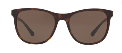 Pre-owned Bvlgari Authentic  Bv7031f-504/73 Sunglasses Dark Havana W/ Brown Lensnew 55 Mm
