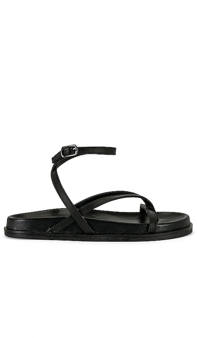 TONY BIANCO LUCIE SANDAL 