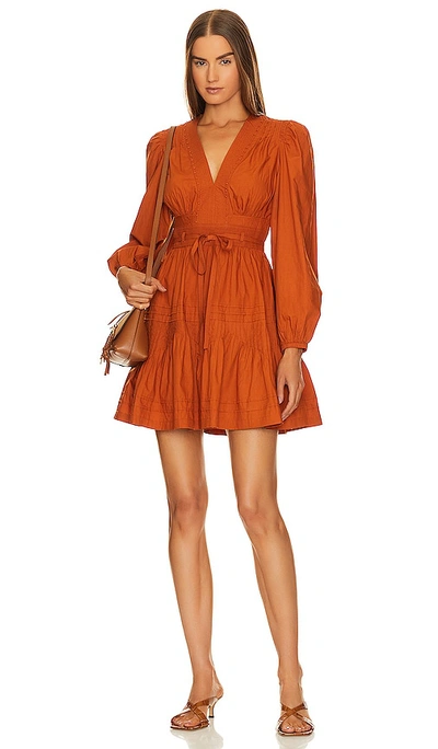 Shop Ulla Johnson Rosalind Dress In Burnt Orange