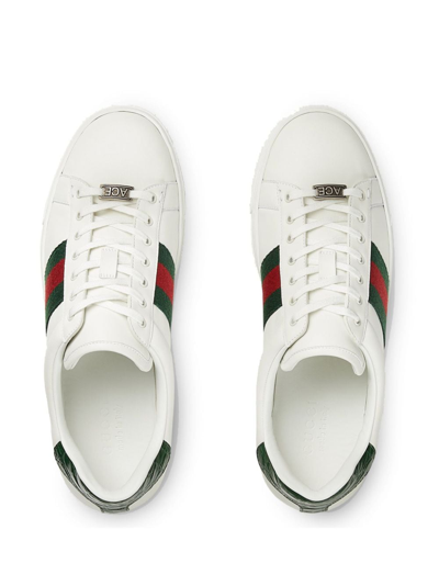 Shop Gucci Ace Web-trim Sneakers In Weiss