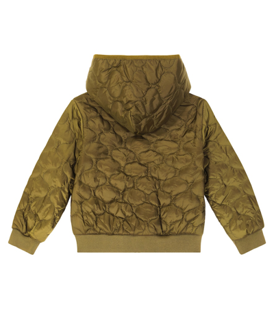 Shop Moschino Teddy Bear Quilted Jacket In Green