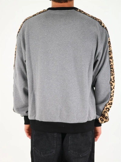 Shop Dolce & Gabbana Dg Animalier Print Sweatshirt In Grey