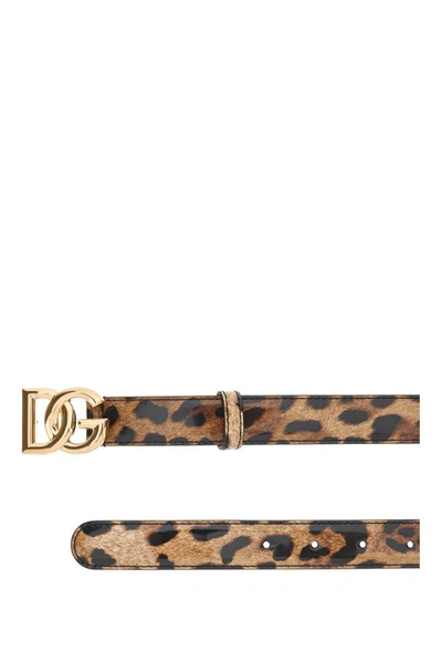 Shop Dolce & Gabbana Dg Logo And Leo Print Leather Belt In Multicolor