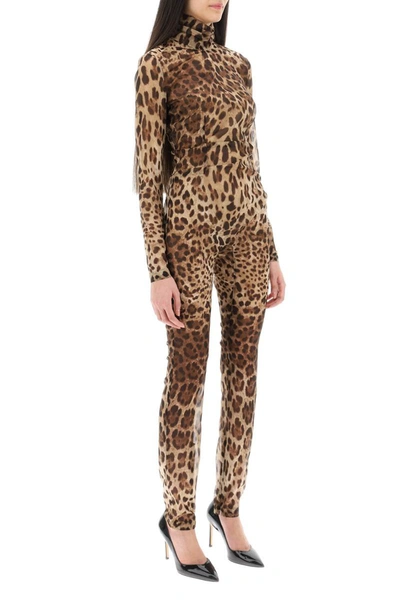 Shop Dolce & Gabbana Leopard Print Silk Chiffon Jumpsuit In Multicolor