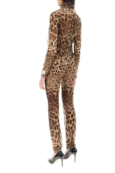 Shop Dolce & Gabbana Leopard Print Silk Chiffon Jumpsuit In Multicolor