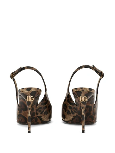 Shop Dolce & Gabbana Leopard-print Slingback Pumps In Marrone E Nero
