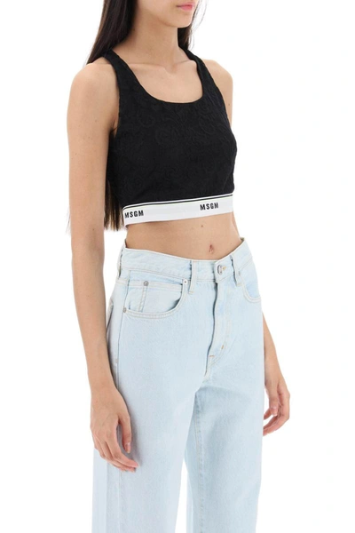 Shop Msgm Sports Bra In Lace With Logoed Band In Black