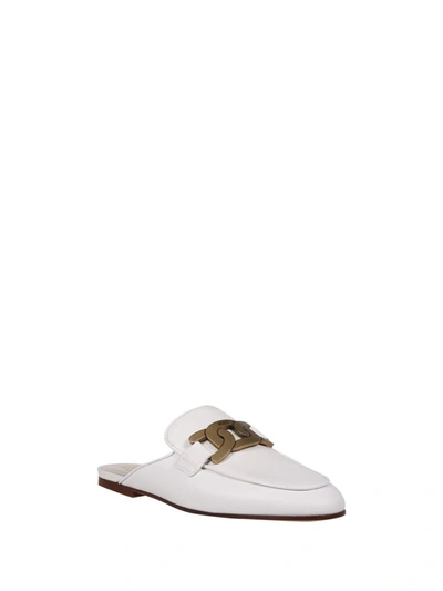 Shop Tod's Tods Shoes In B008