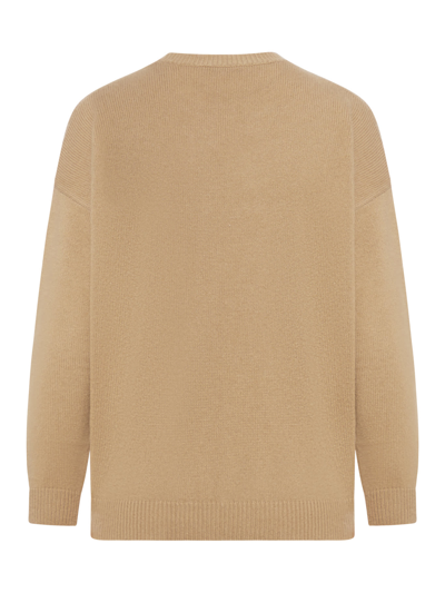 Shop Max Mara Palato Sweater In Camel
