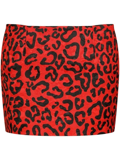Shop Dolce & Gabbana All-over Leopard Print In Nero E Rosso