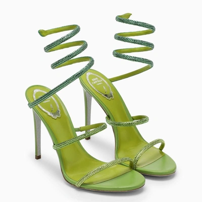 Shop René Caovilla Cleo High Sandal In Green