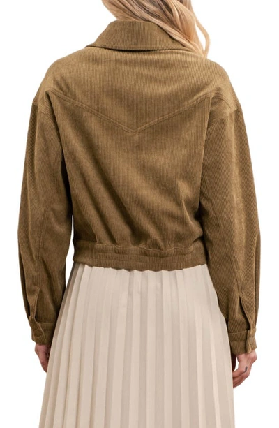 Blu Pepper Corduroy Crop Moto Jacket In Olive