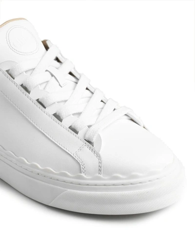 Shop Chloé Chloè Sneakers In White