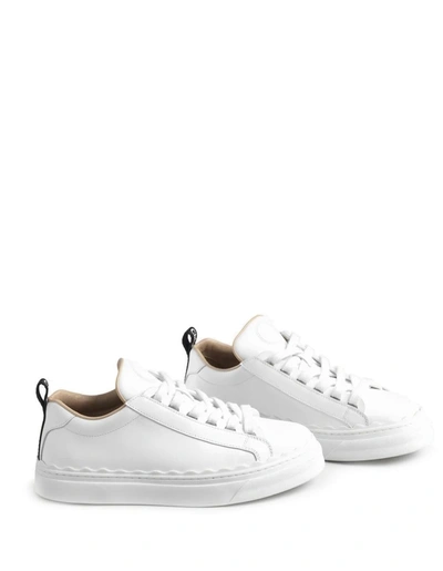 Shop Chloé Chloè Sneakers In White