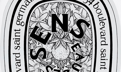 Diptyque Eau Des Sens Hair Mist
