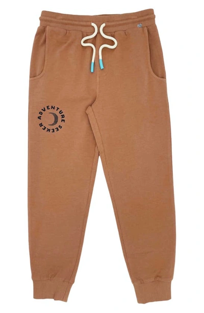 Shop Feather 4 Arrow Kids' Adventure Joggers In Brown