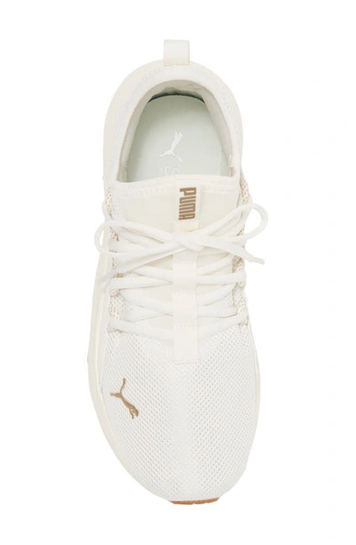 Puma Pacer Future Web Knit Sneaker In Pristine- Gold