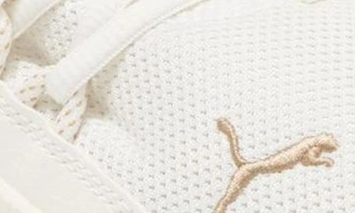 Puma Pacer Future Web Knit Sneaker In Pristine- Gold
