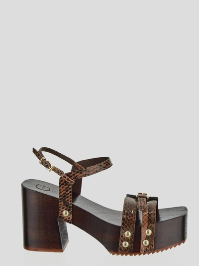 Shop Clove Platform Sandal In <p> Platform Sandal In Brown Embossed Crocodile Leather With Open Square Toe