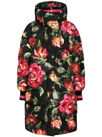 Shop Dolce & Gabbana Rose Print Puffer Down Jacket In Black