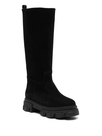 Shop Gia Borghini Suede Combat Boots In Black