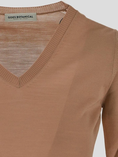 Shop Goes Botanical Camel V-neck Sweater In Beige