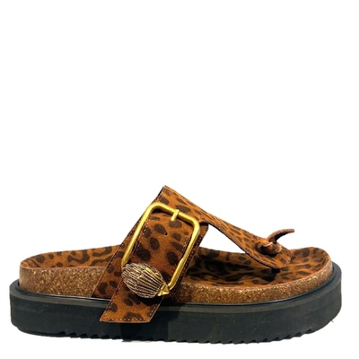 Shop Kurt Geiger Sandals In Spotted