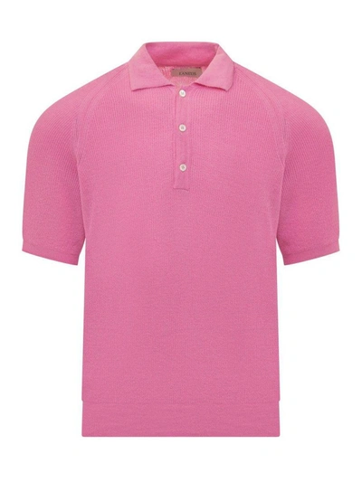 Shop Laneus Polos In Pink
