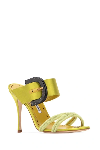 Manolo Blahnik Guey Open Toe Mules In Bgrn