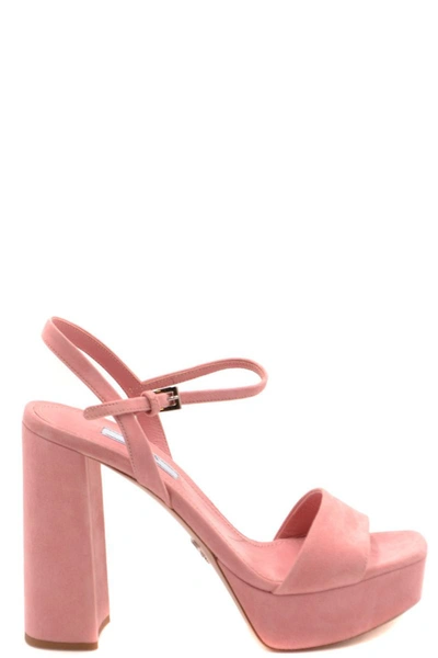 Shop Prada Sandals In Pink