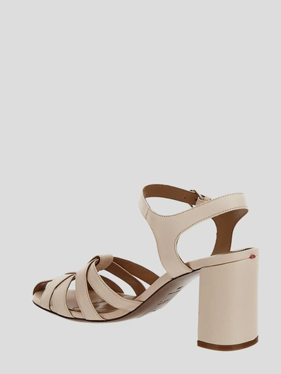 Shop Relac With Heel In <p> Pink Sandal With Heel