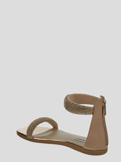Shop Steve Madden Sandals In <p> Flat Shoes In Rose Gold Synthetic Material With All-over Rose Gold Rhinestone