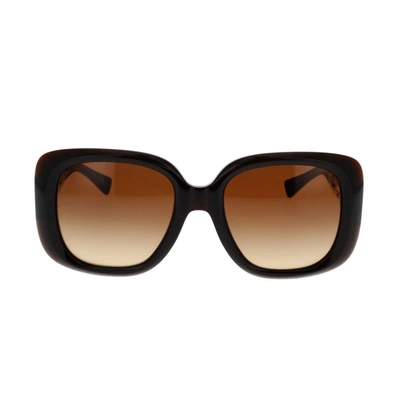 Shop Versace Sunglasses In Brown
